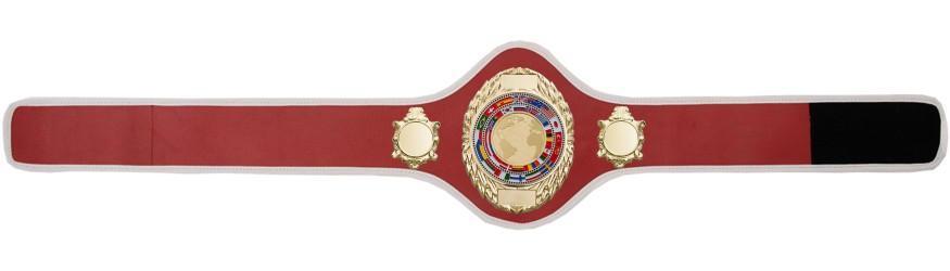 CHAMPIONSHIP BELT PRO286/G/WLDFLAGG - AVAILABLE IN 10+ COLOURS